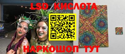 ГАЛЛЮЦИНОГЕННЫЕ ГРИБЫ Новозыбков